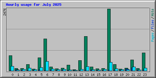 Hourly usage for July 2025